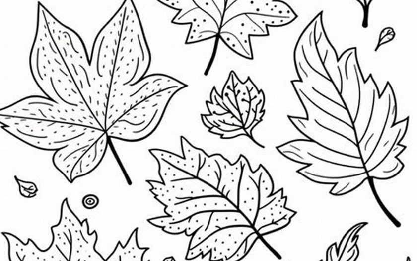 Fall Leaves Coloring Pages