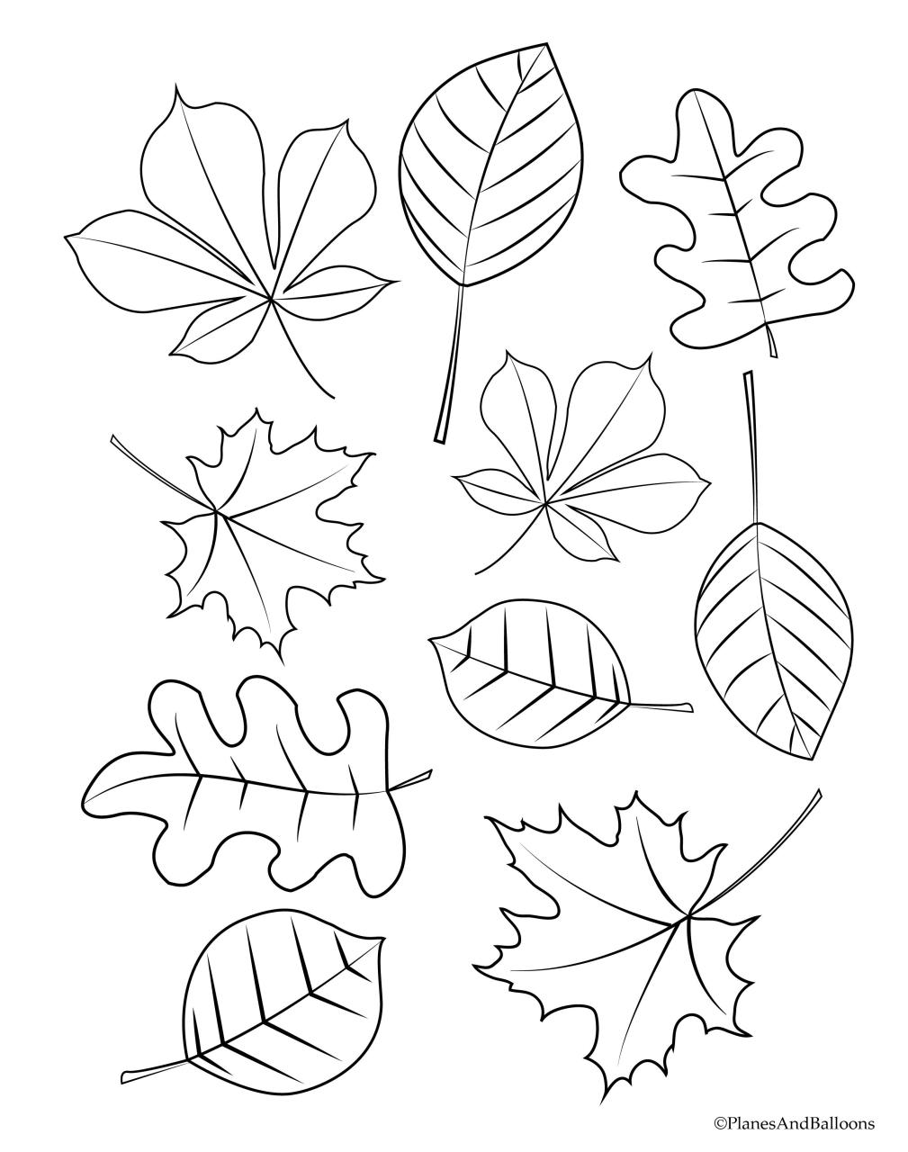 Fall Leaves Coloring Pages For Preschoolers Coloring Pages
