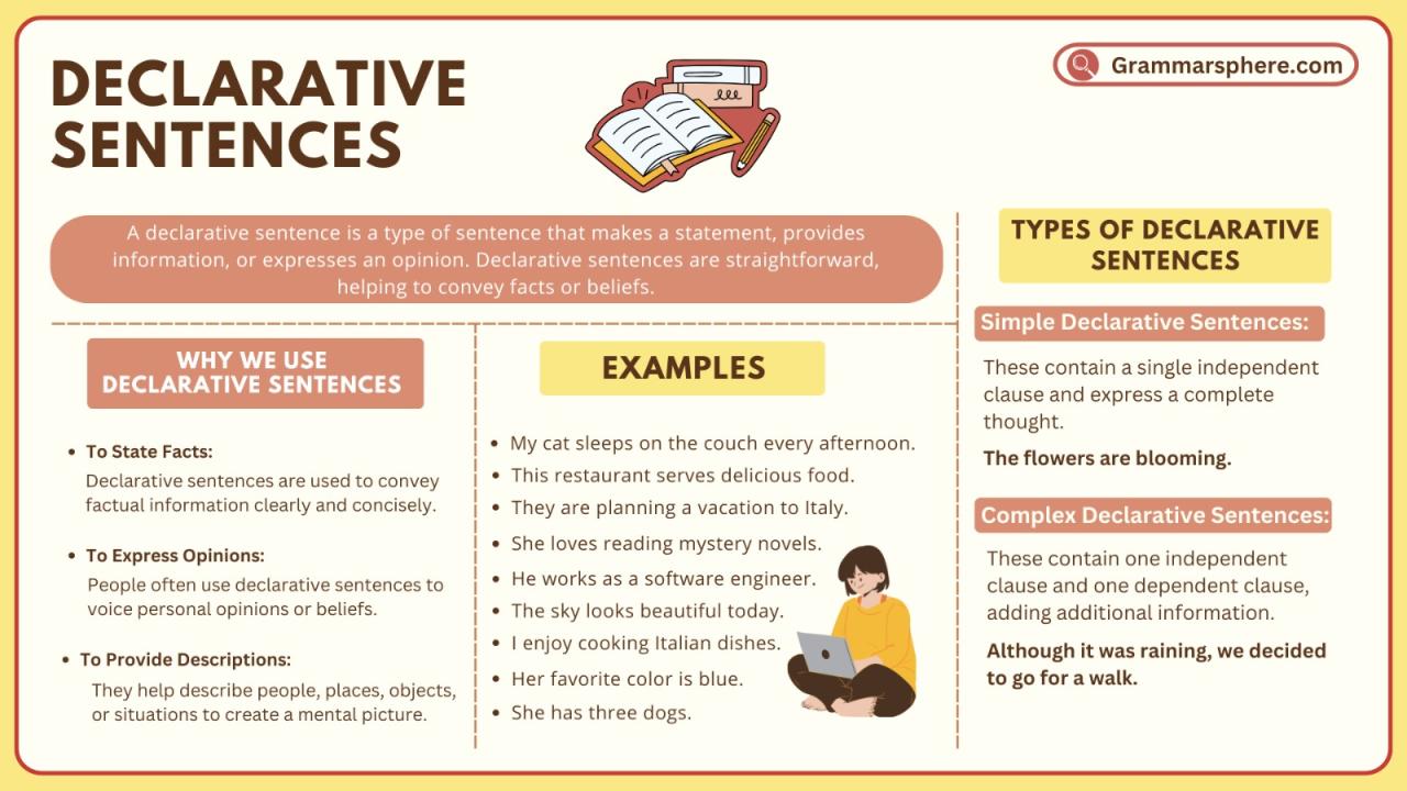 Declarative Sentences With Examples In English