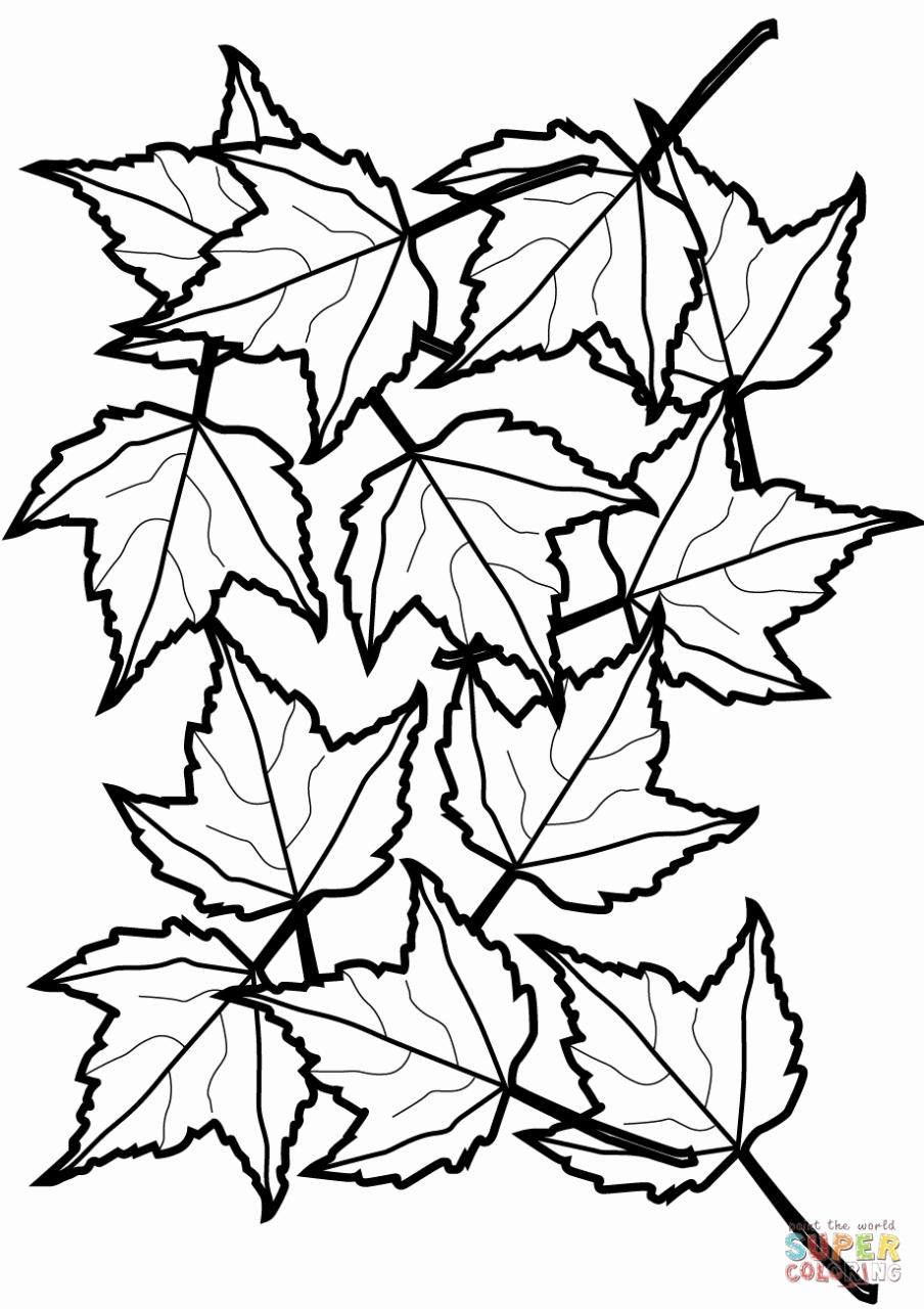 Fall Leaves Coloring Pages at Free printable colorings pages to print and color