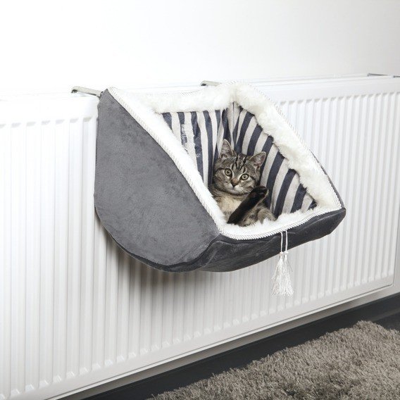 Cama gato radiador